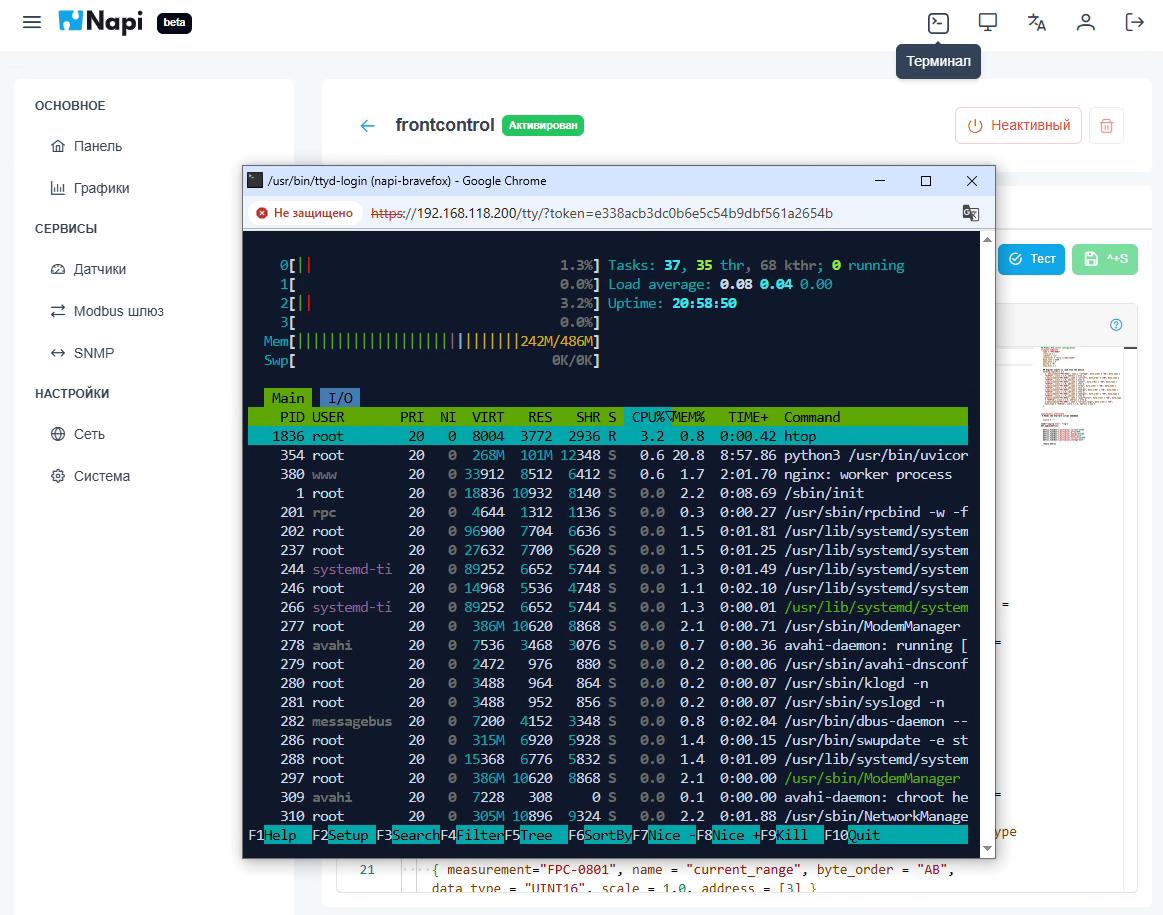 htop в веб-терминале